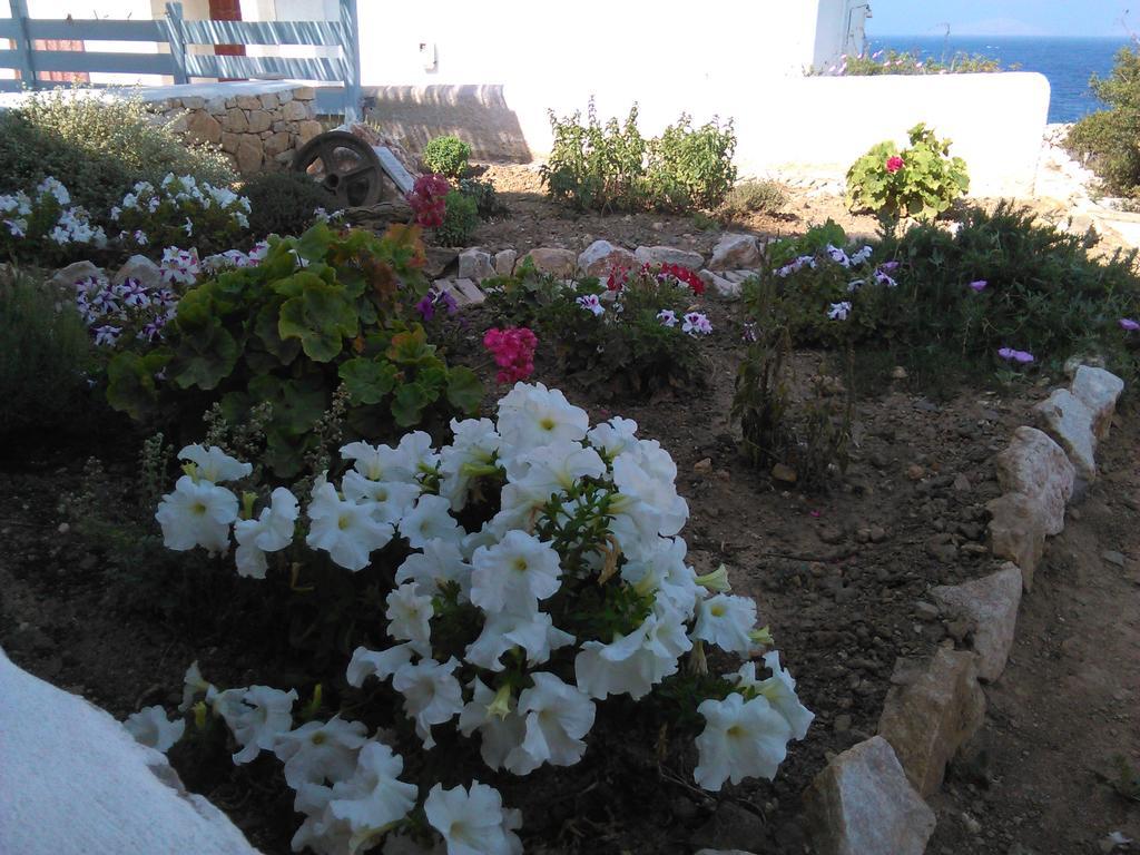 Makares Aparthotel Donoussa Luaran gambar